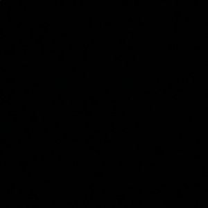 Meet your Posher, Elise